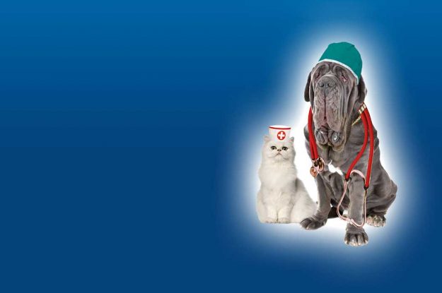 Cane e Gatto – Copertura Spese Mediche